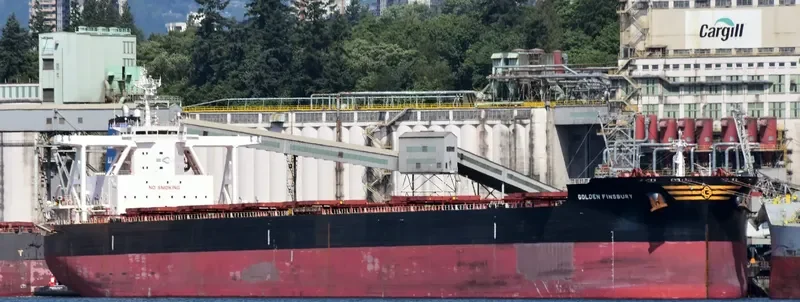 GOLDEN FINSBURY Bulk Carrier IMO 9701346 photo 5