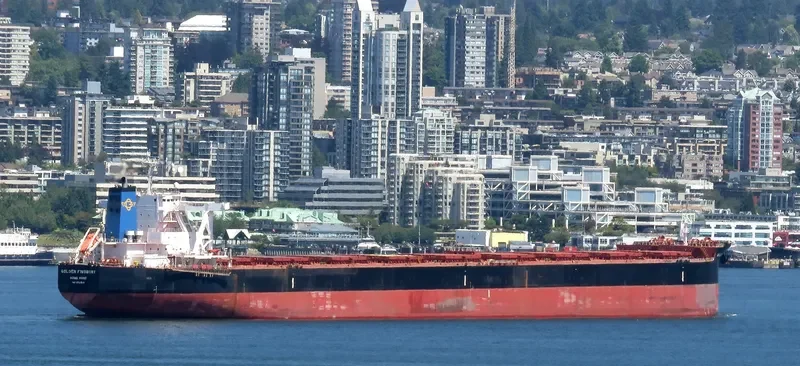 GOLDEN FINSBURY Bulk Carrier IMO 9701346 photo 6