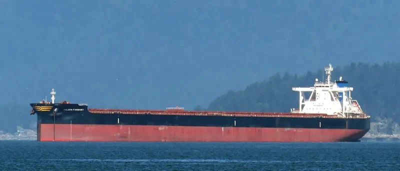 GOLDEN FINSBURY Bulk Carrier IMO 9701346 photo 7