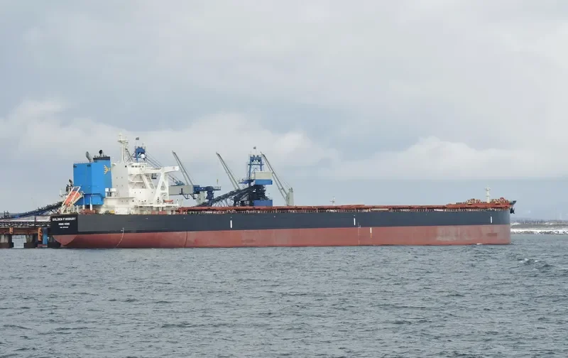 GOLDEN FINSBURY Bulk Carrier IMO 9701346 photo 8