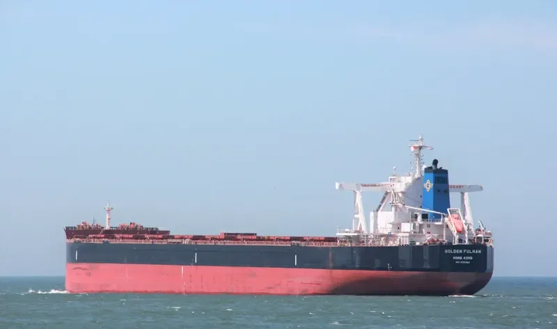 GOLDEN FULHAM Bulk Carrier IMO 9701358 photo 2