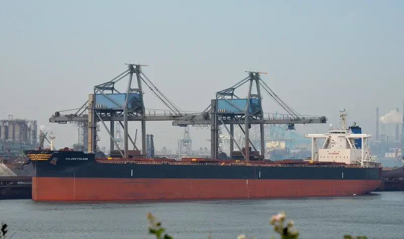 GOLDEN FULHAM Bulk Carrier IMO 9701358 photo 4