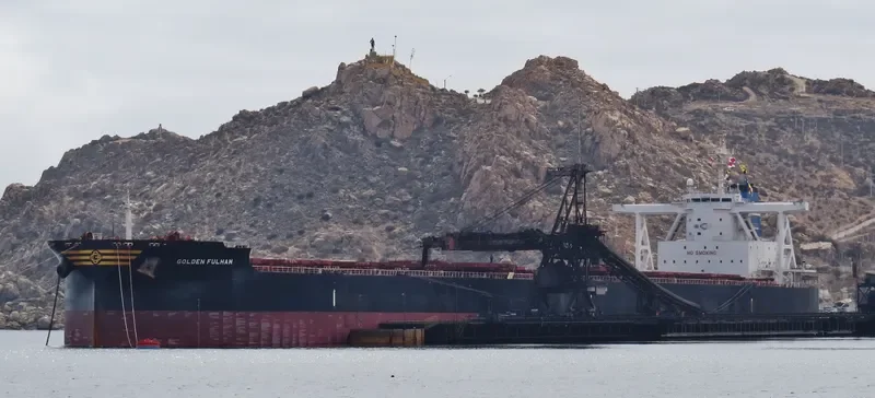 GOLDEN FULHAM Bulk Carrier IMO 9701358 photo 6