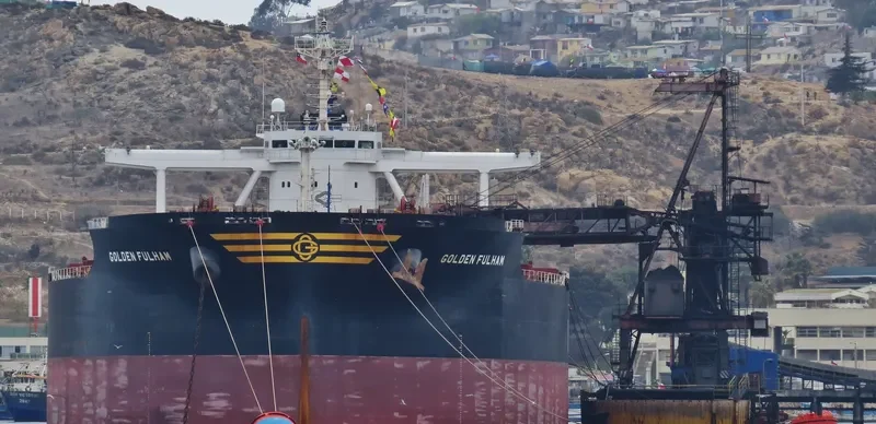 GOLDEN FULHAM Bulk Carrier IMO 9701358 photo 7