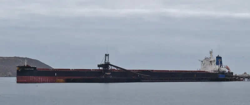 GOLDEN FULHAM Bulk Carrier IMO 9701358 photo 8