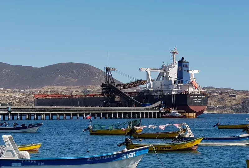 GOLDEN FULHAM Bulk Carrier IMO 9701358 photo 10
