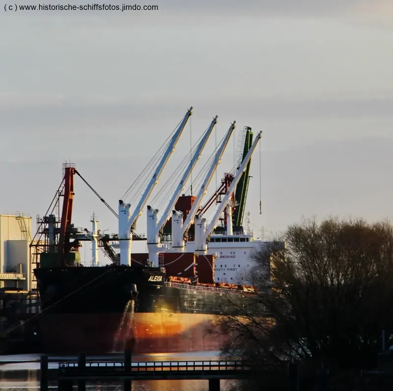 ALEXIA Bulk Carrier IMO 9701372 photo 4