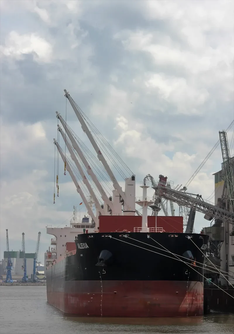 ALEXIA Bulk Carrier IMO 9701372 photo 8