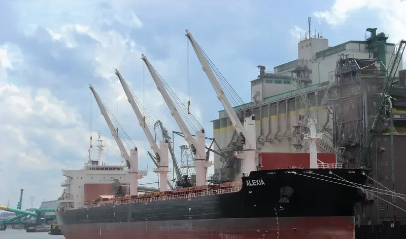 ALEXIA Bulk Carrier IMO 9701372 photo 9