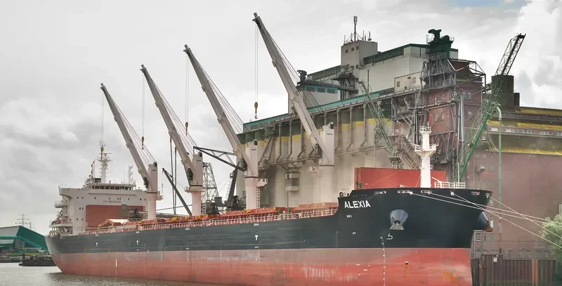 ALEXIA Bulk Carrier IMO 9701372 photo 10