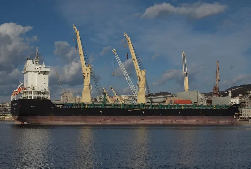 PACIFIC HARMONY General Cargo IMO 9701451 photo 4