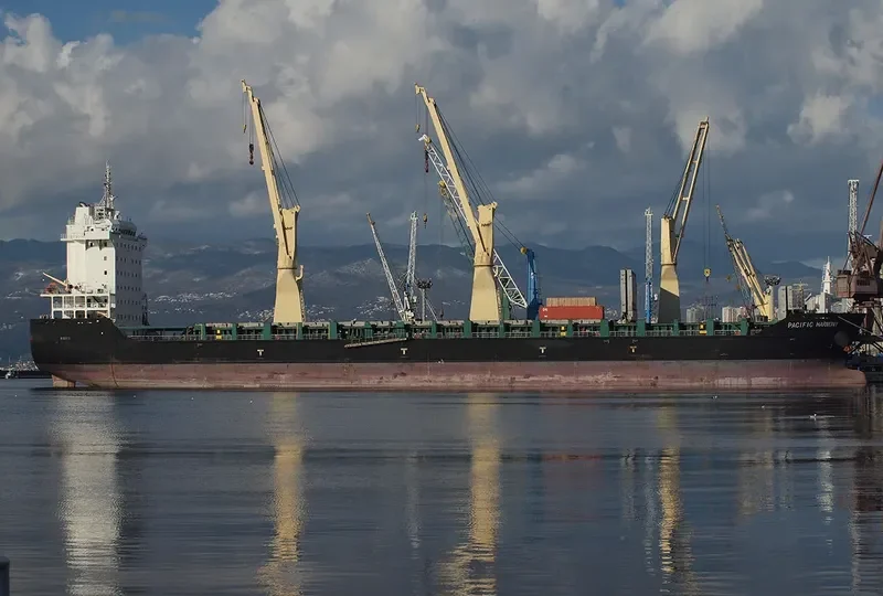 PACIFIC HARMONY General Cargo IMO 9701451 photo 12