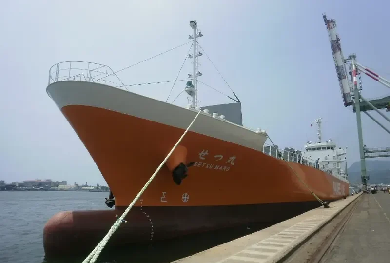 SETSU MARU Container Ship IMO 9701695 photo 5