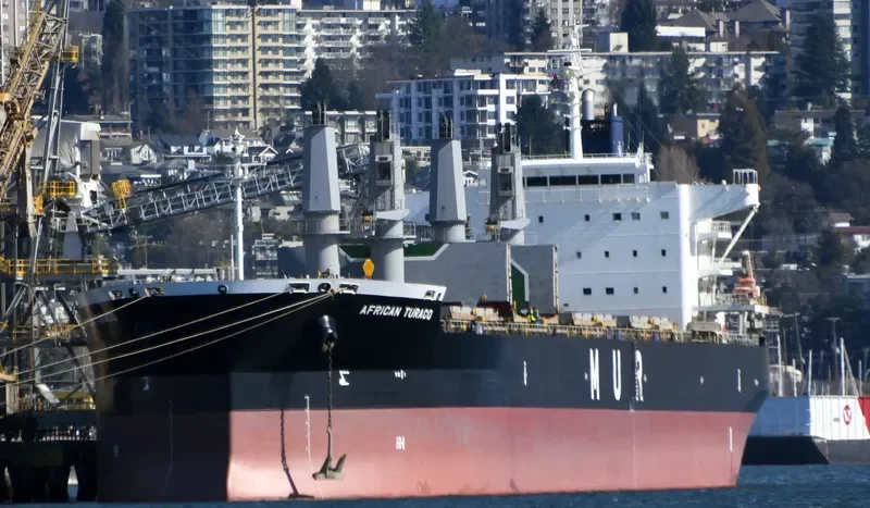 AFRICAN TURACO Bulk Carrier IMO 9701700 photo 3