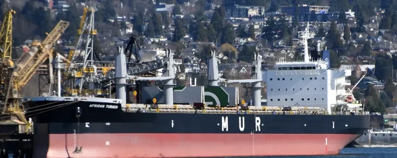 AFRICAN TURACO Bulk Carrier IMO 9701700 photo 4