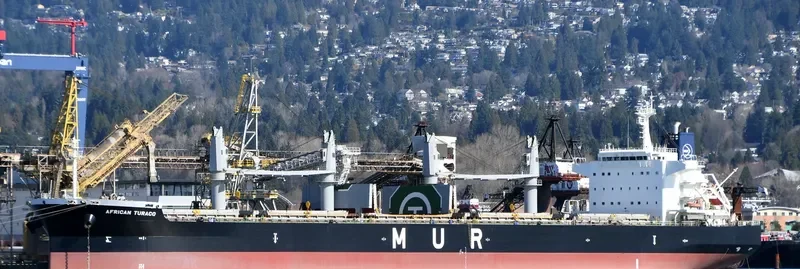 AFRICAN TURACO Bulk Carrier IMO 9701700 photo 5