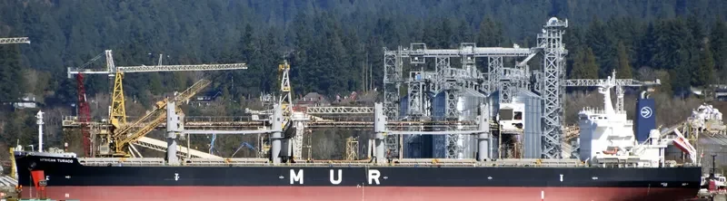 AFRICAN TURACO Bulk Carrier IMO 9701700 photo 6
