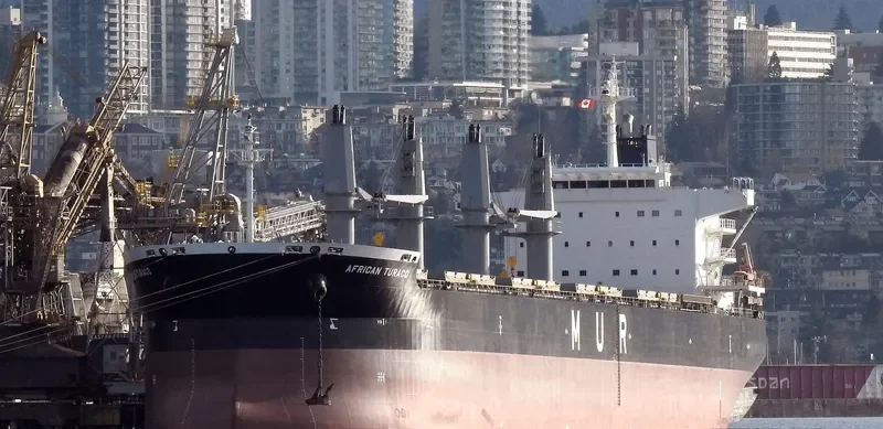 AFRICAN TURACO Bulk Carrier IMO 9701700 photo 7