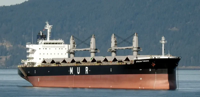 AFRICAN TURACO Bulk Carrier IMO 9701700 photo 8