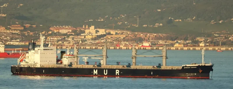 AFRICAN TURACO Bulk Carrier IMO 9701700 photo 10