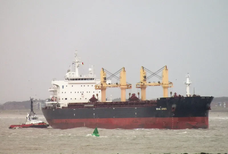 SPAR ARIES Bulk Carrier IMO 9701920 photo 8