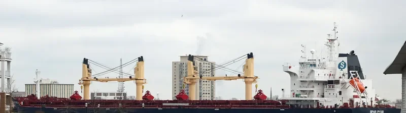 SPAR PYXIS Bulk Carrier IMO 9701932 photo 3