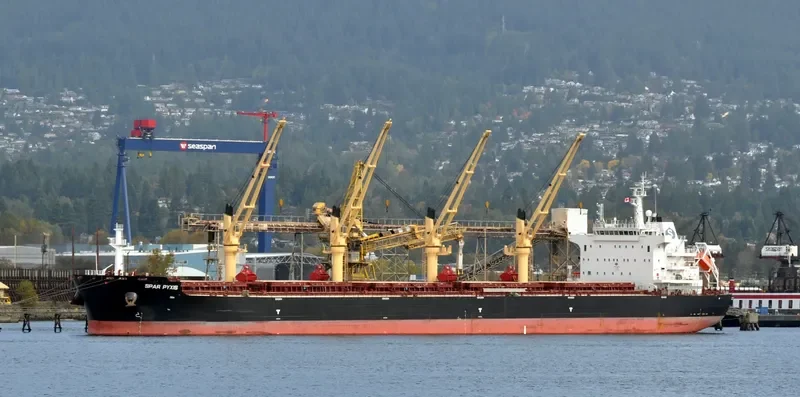SPAR PYXIS Bulk Carrier IMO 9701932 photo 7