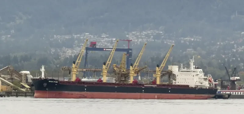 SPAR PYXIS Bulk Carrier IMO 9701932 photo 8