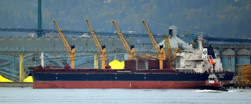 SPAR PYXIS Bulk Carrier IMO 9701932 photo 9