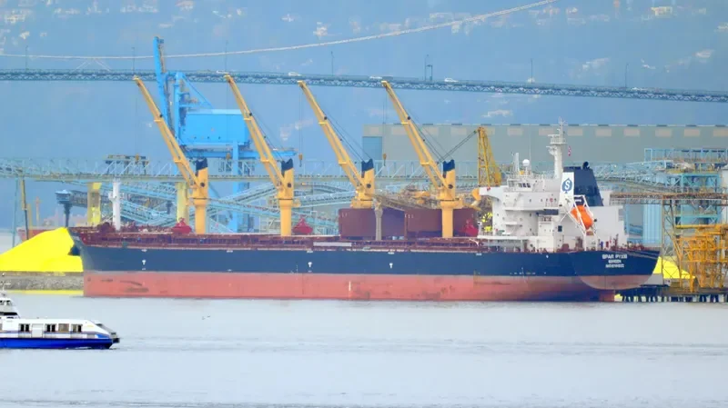 SPAR PYXIS Bulk Carrier IMO 9701932 photo 10