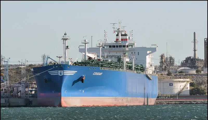 COUGAR General Cargo IMO 9702003 photo 4