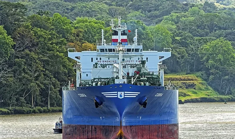 COBRA General Cargo IMO 9702015 photo 3