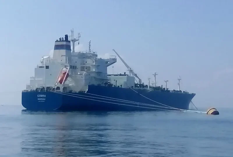 COBRA General Cargo IMO 9702015 photo 4