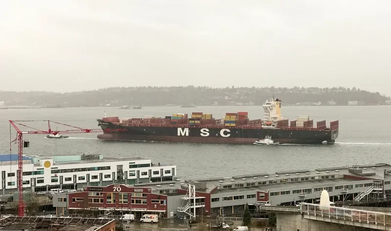 MSC LETIZIA Container Ship IMO 9702065
