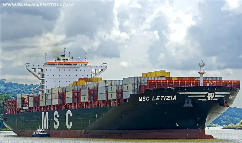 MSC LETIZIA Container Ship IMO 9702065 photo 2