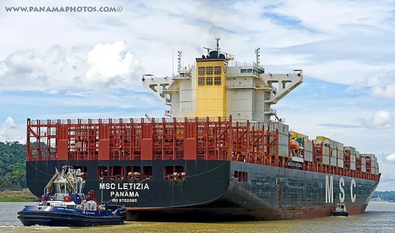 MSC LETIZIA Container Ship IMO 9702065 photo 3