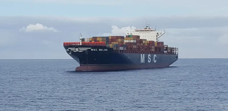 MSC MELINE Container Ship IMO 9702077