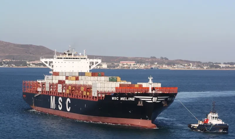 MSC MELINE Container Ship IMO 9702077 photo 9