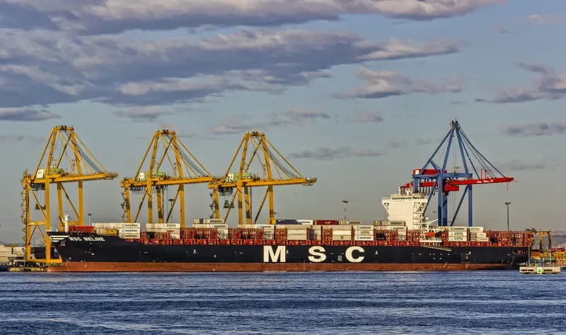 MSC MELINE Container Ship IMO 9702077 photo 10