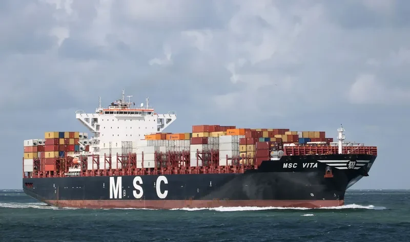 MSC VITA Container Ship IMO 9702089