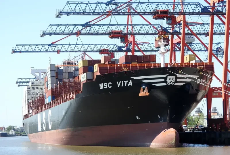 MSC VITA Container Ship IMO 9702089 photo 2