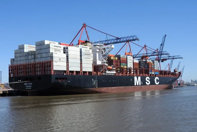 MSC VITA Container Ship IMO 9702089 photo 3