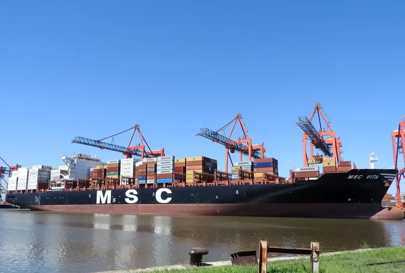 MSC VITA Container Ship IMO 9702089 photo 4