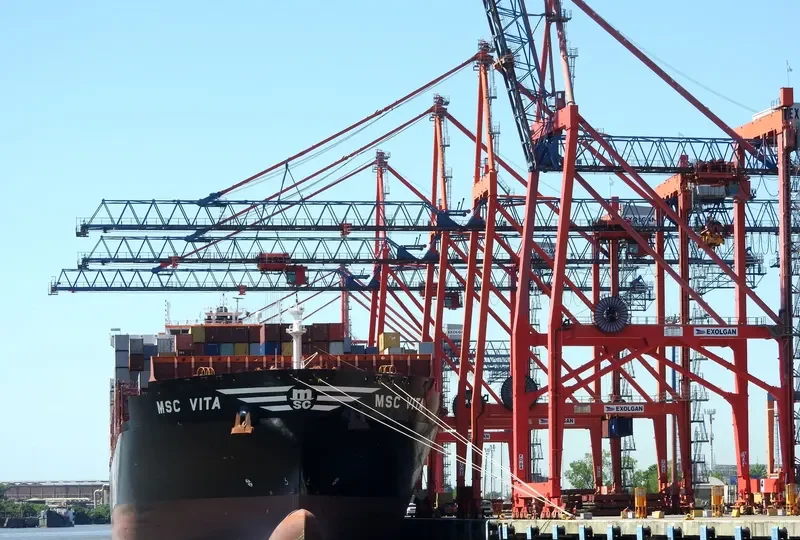 MSC VITA Container Ship IMO 9702089 photo 5