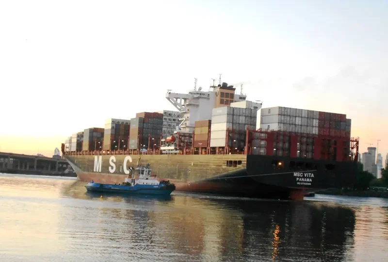 MSC VITA Container Ship IMO 9702089 photo 6
