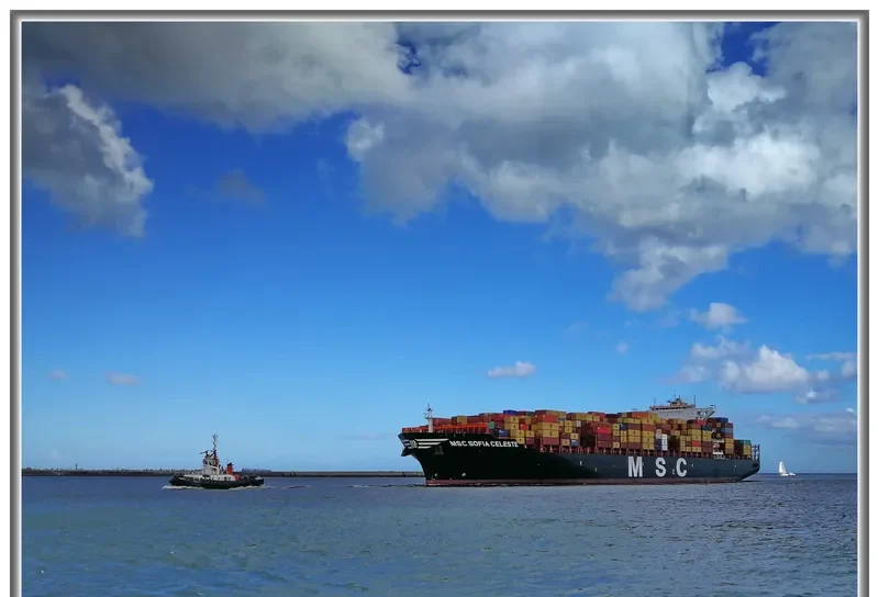 MSC SOFIA CELESTE Container Ship IMO 9702091