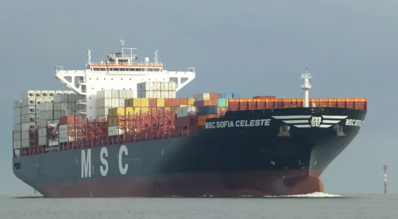 MSC SOFIA CELESTE Container Ship IMO 9702091 photo 2