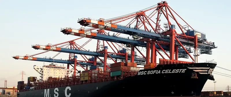 MSC SOFIA CELESTE Container Ship IMO 9702091 photo 7