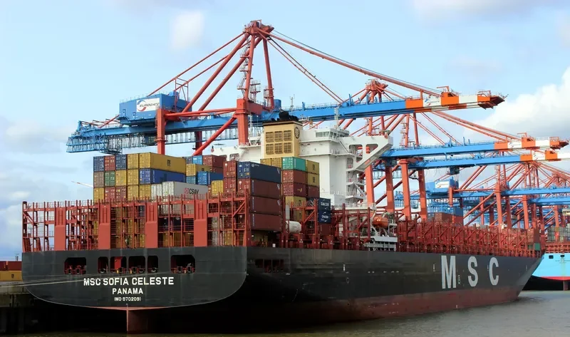 MSC SOFIA CELESTE Container Ship IMO 9702091 photo 8
