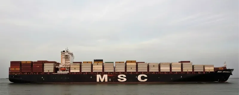 MSC BRUNELLA Container Ship IMO 9702106 photo 8